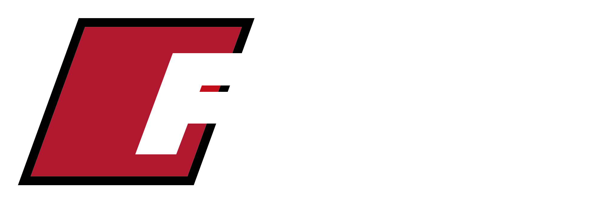 logo Frav S.r.l.